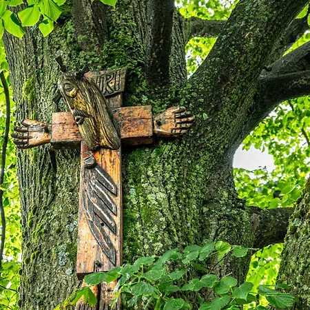 Lipowe Wzgórze Gospodarstwo agroturystyczne *